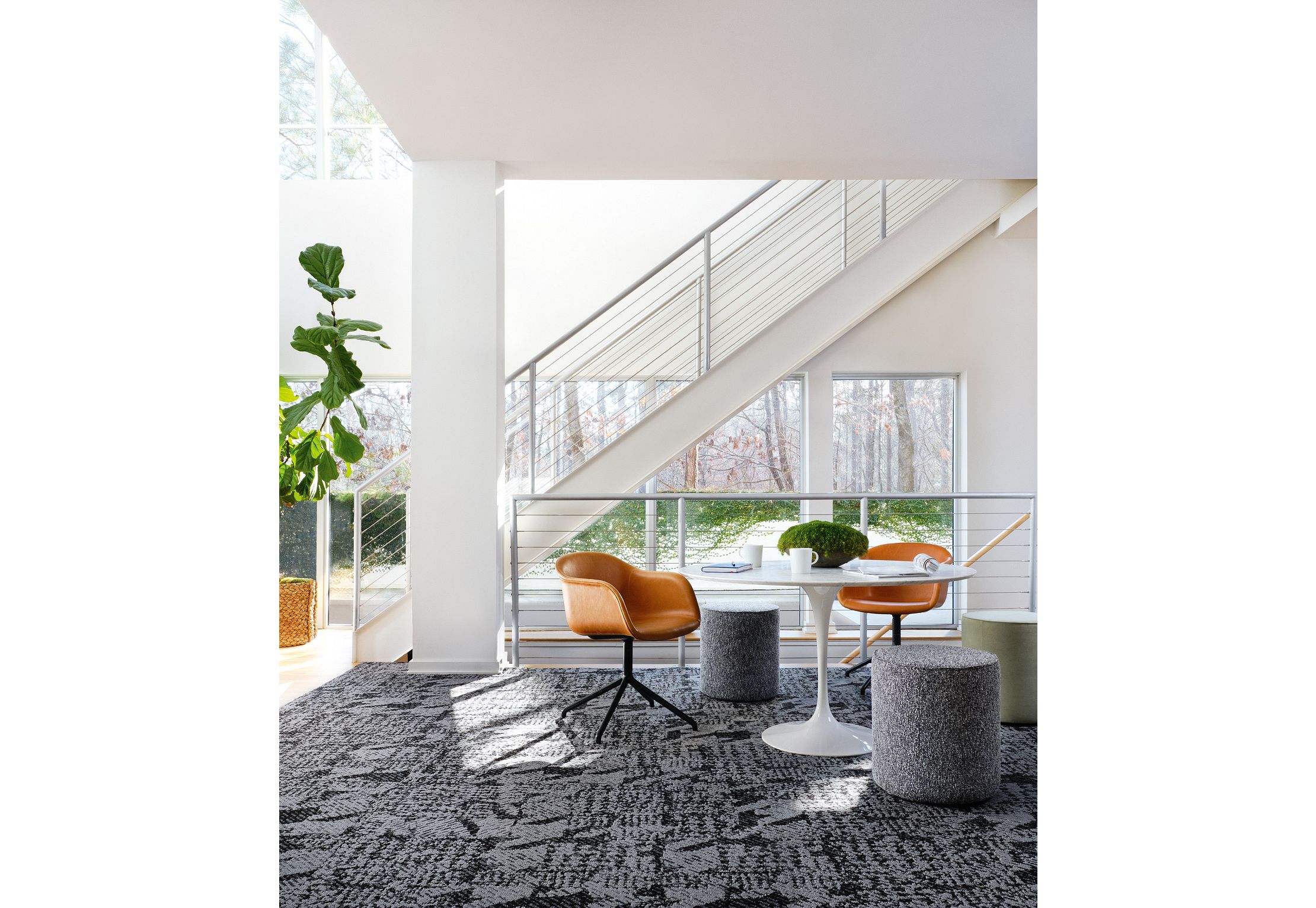 Shaw carpet tiles